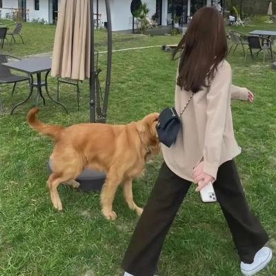 边关茶寮番外
